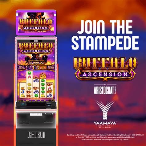 yaamava online casino login|Home .